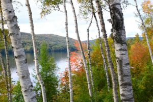 fallfoliagemaine 300x200 Fall Splendor