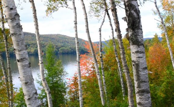 Maine Fall Foliage