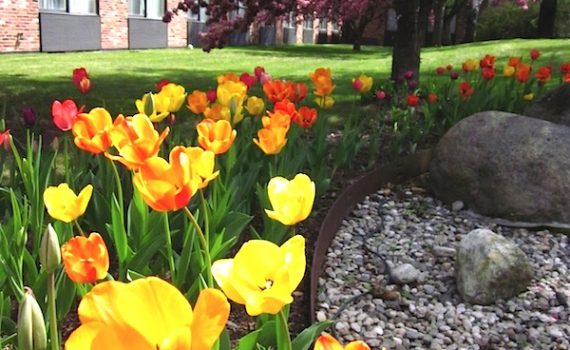 Spring at the Fireside Inn Portland